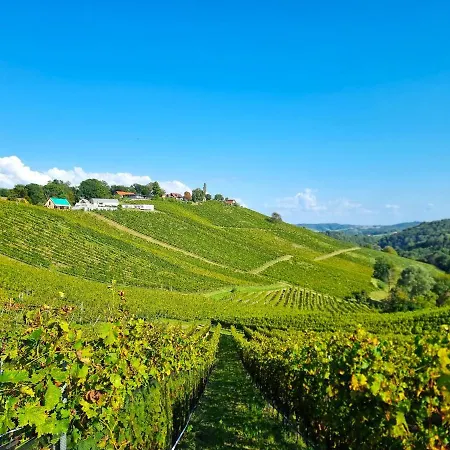 Weinlandzauber An Der Lage *