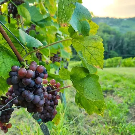 Weinlandzauber An Der Lage Apartamento