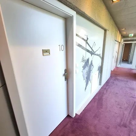 Weinlandzauber An Der Lage Apartmán Spielfeld