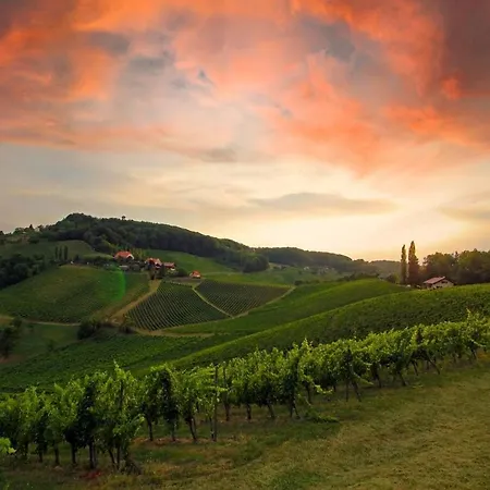 Weinlandzauber An Der Lage * Spielfeld