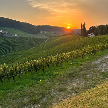 Weinlandzauber An Der Lage * 施皮尔费尔德