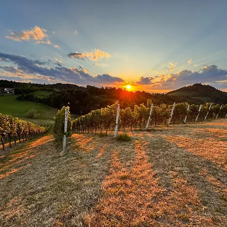 Apartamento Weinlandzauber An Der Lage Spielfeld