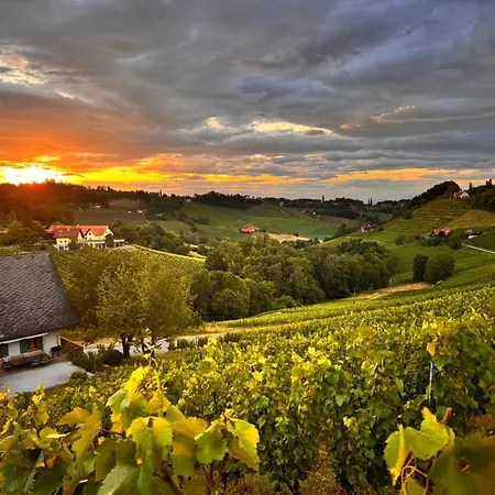Weinlandzauber An Der Lage * Spielfeld