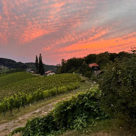 Weinlandzauber An Der Lage *