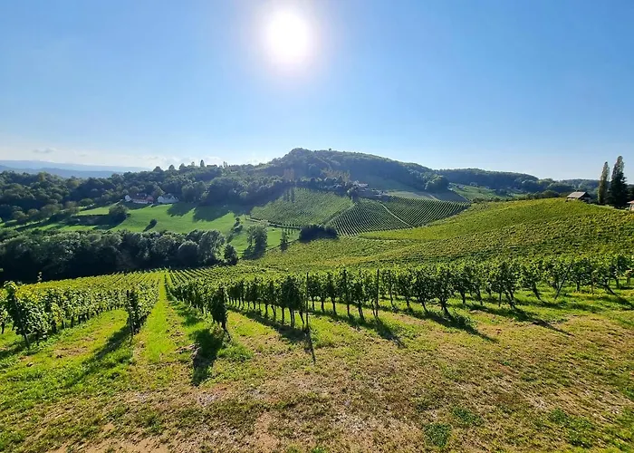 Weinlandzauber An Der Lage アパート *