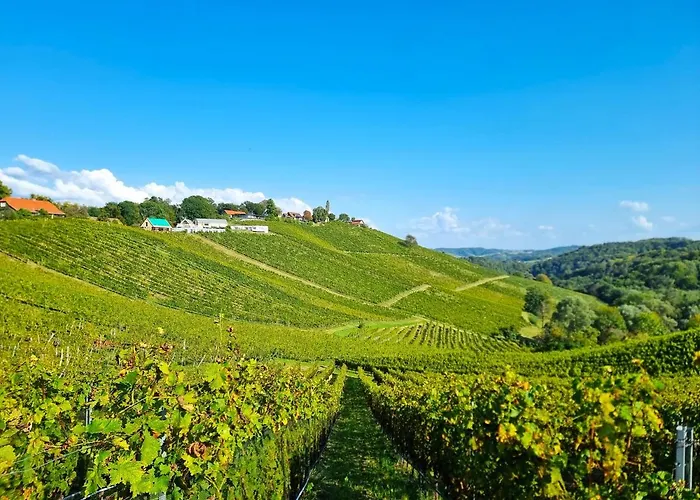 Weinlandzauber An Der Lage *