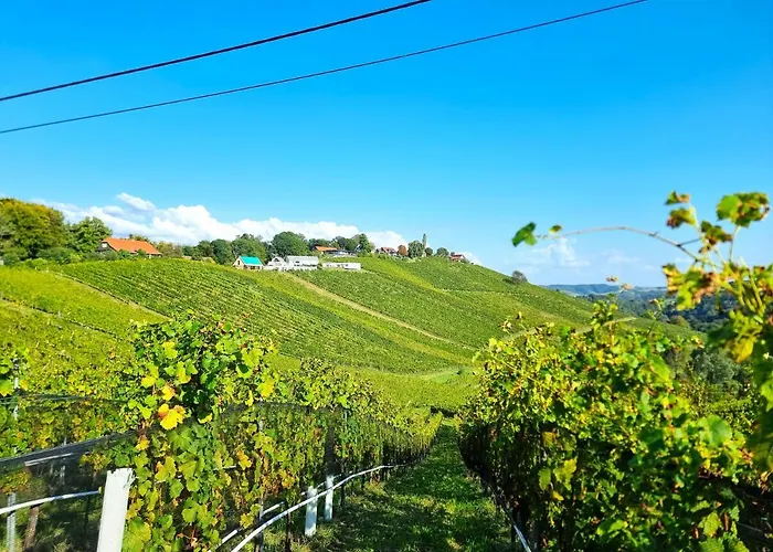 Weinlandzauber An Der Lage