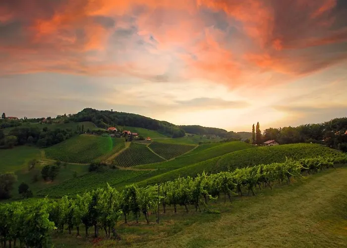 Weinlandzauber An Der Lage * Spielfeld