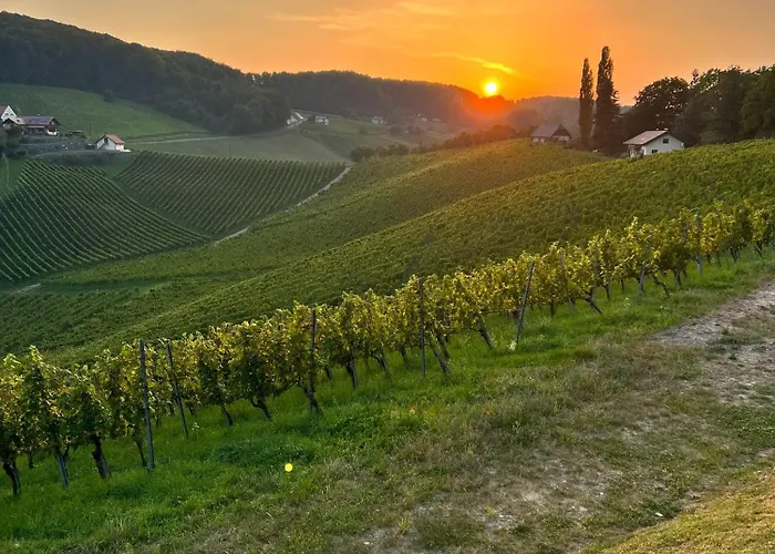 Weinlandzauber An Der Lage * Spielfeld