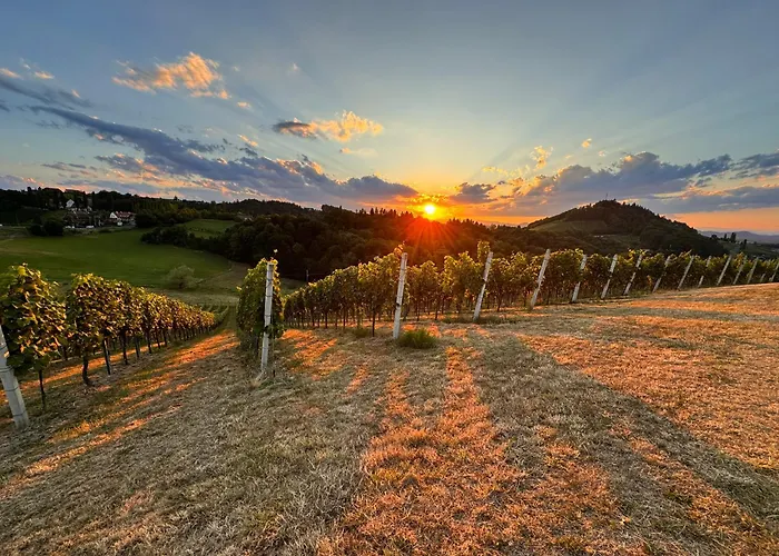 Apartment Weinlandzauber An Der Lage Spielfeld