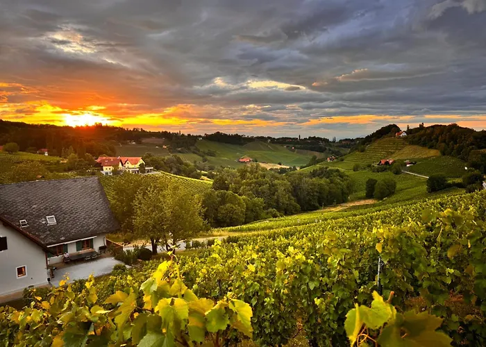 Weinlandzauber An Der Lage * Spielfeld