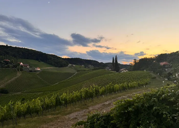 Weinlandzauber An Der Lage