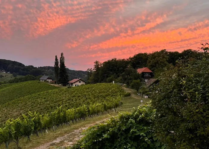 Weinlandzauber An Der Lage *